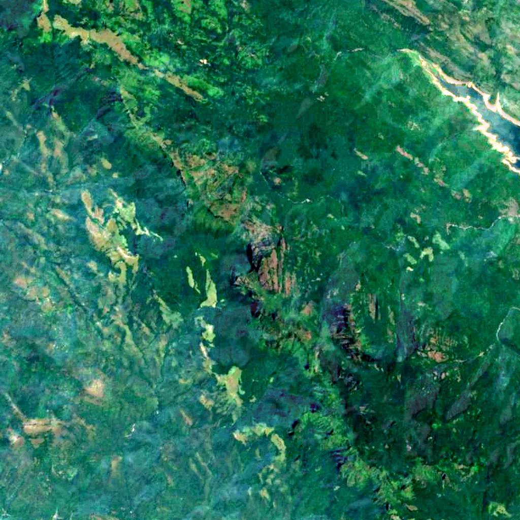 Agastya Mala seen from above (Sentinel-2)