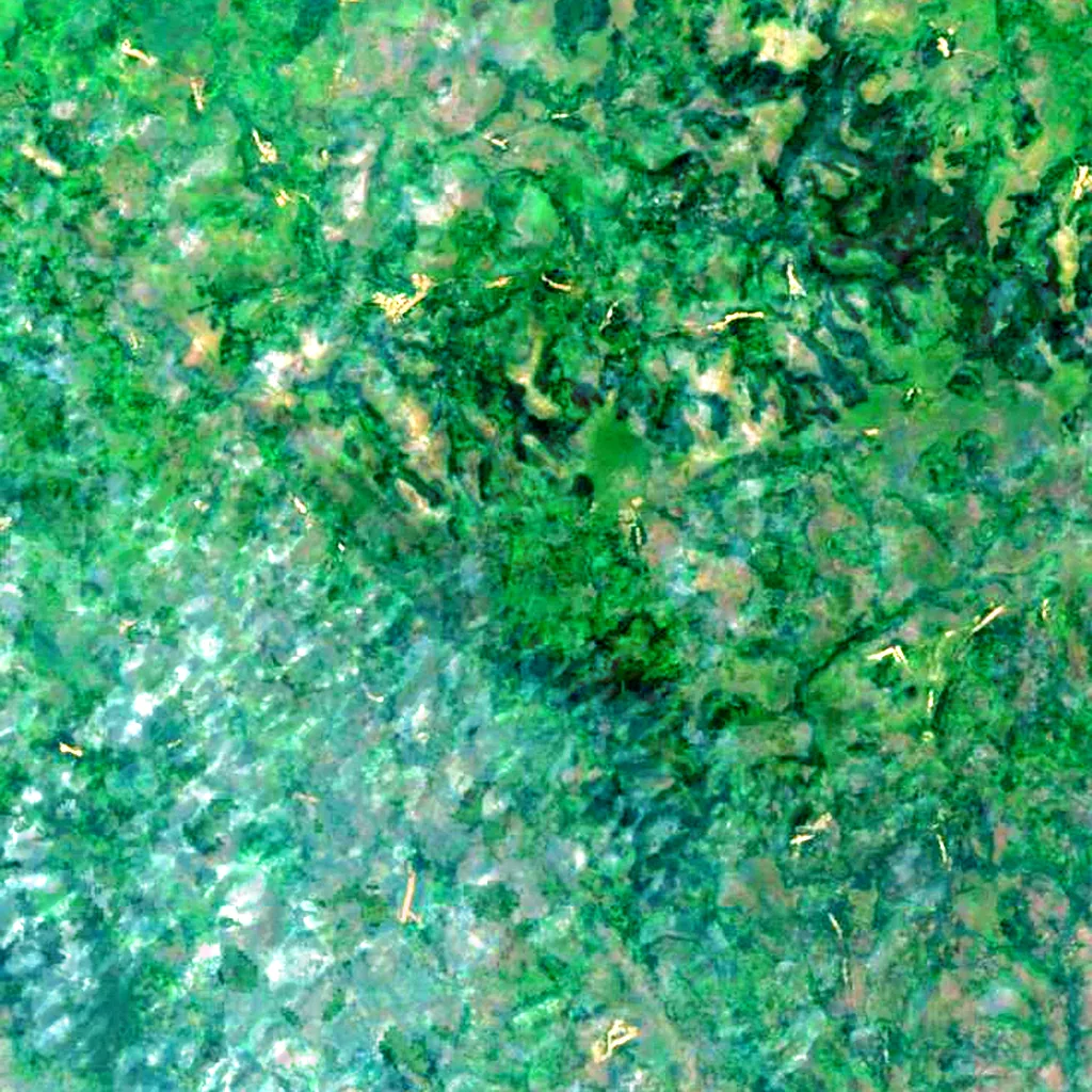 Bouloukombo seen from above (Sentinel-2)