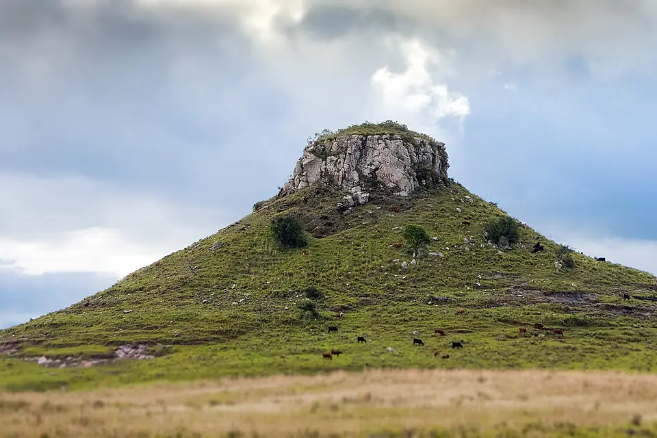 Cerro Batoví (26055598336)