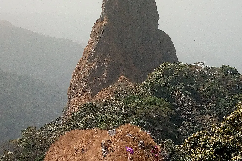 Chappal Waddi' is a mountain