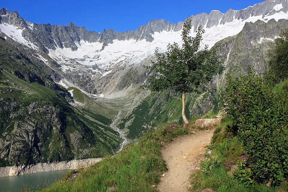 Blick zum Dammagletscher