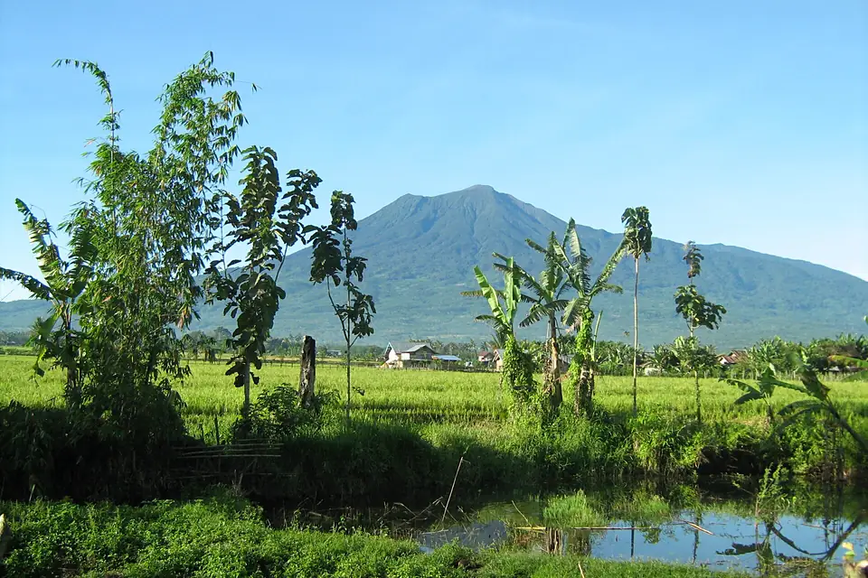 GUNUNG DEMPO PAGARALAM 