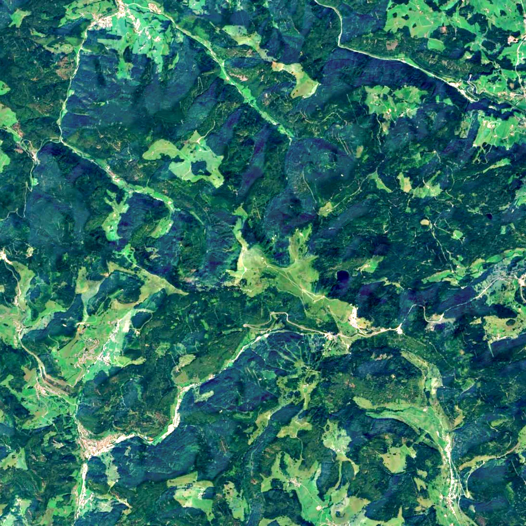 Feldberg seen from above (Sentinel-2)
