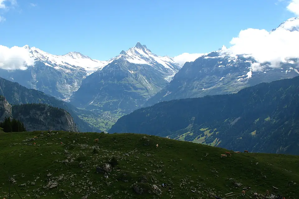 5676 - Schynige Platte - View of Lütschinetal, Wetterhorn, Mettenberg, Schreckhorn, Finsteraarhorn, Eiger