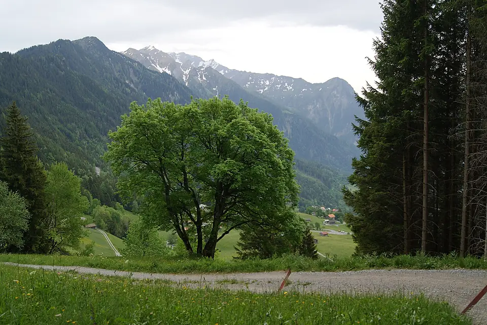 Gnalp-Schwarzhorn-Grauspitz-Falknishorn-02ASD