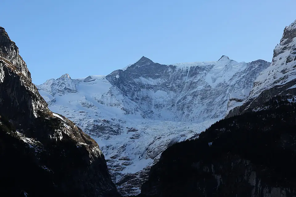 Gross Fiescherhorn entrenched between Eiger and Mettenberg