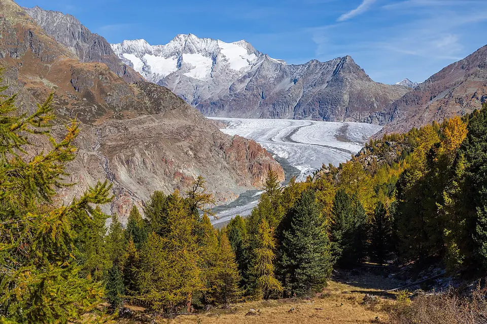 Aletschgletscher, Aletschwald und Wannenhörner (2017)