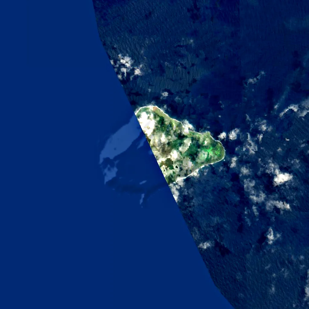 Inaccessible Island seen from above (Sentinel-2)