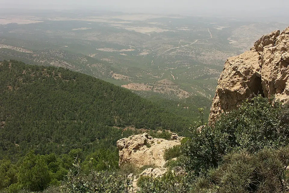 Algérie vue Djebel Chambi