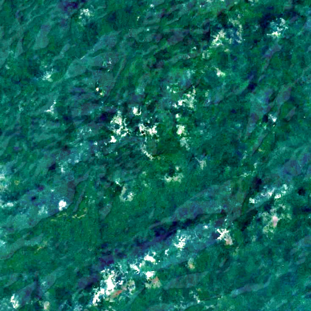 Julianatop seen from above (Sentinel-2)