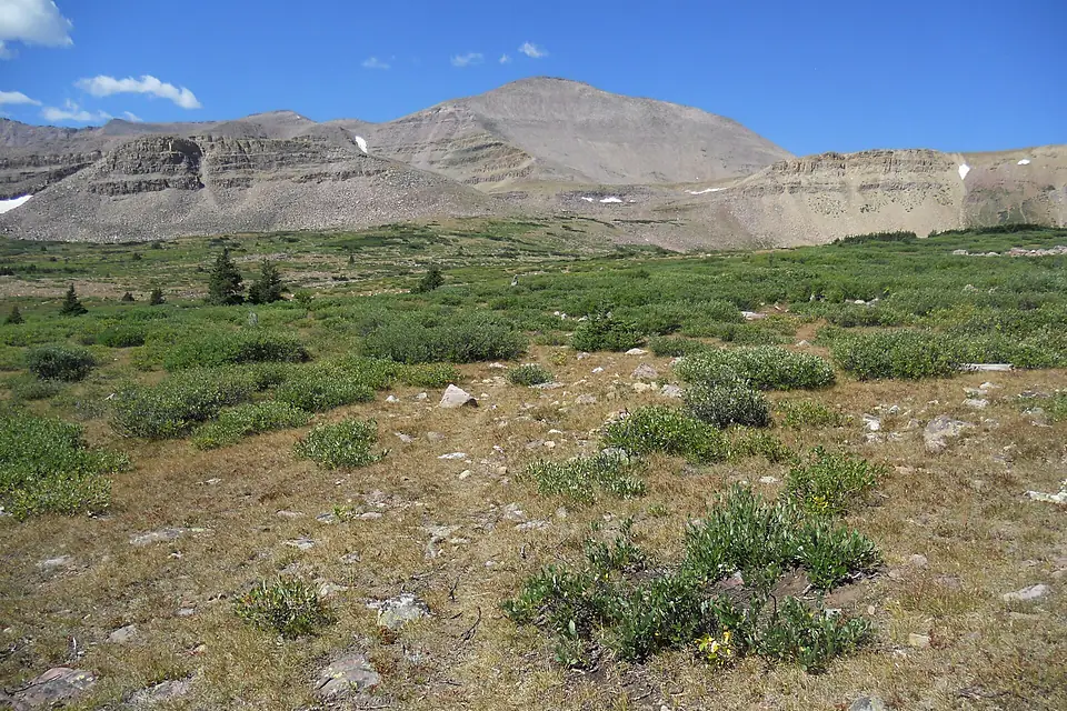 Kings Peak, Uinta Mountains, Duchesne County, Utah, USA 01