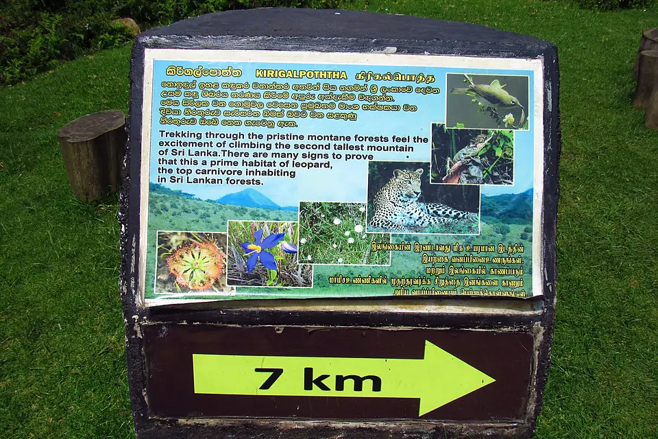Kirigalpoththa-SriLanka-May2015-1