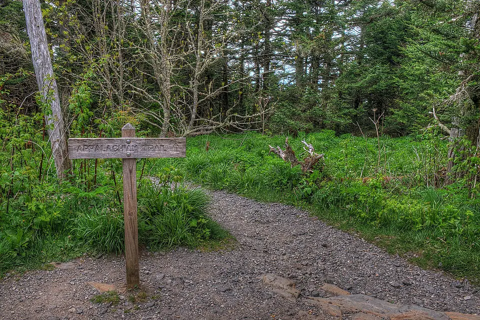 15-19-146, appalachian trail crossing at clingmans dome - panoramio