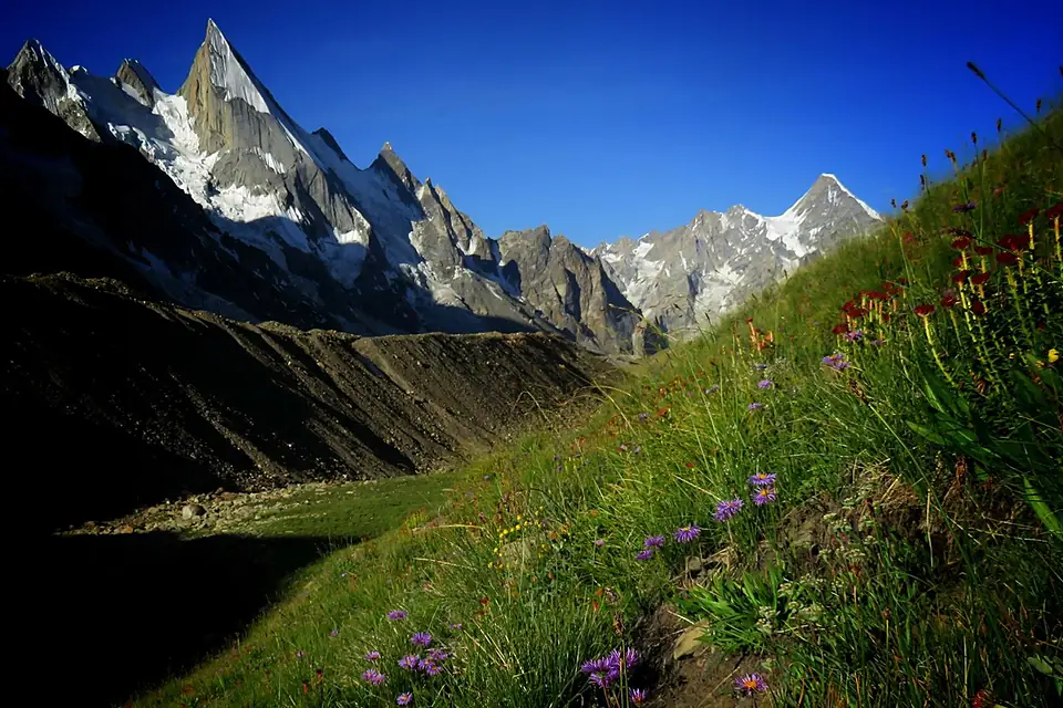 Laila Peak view