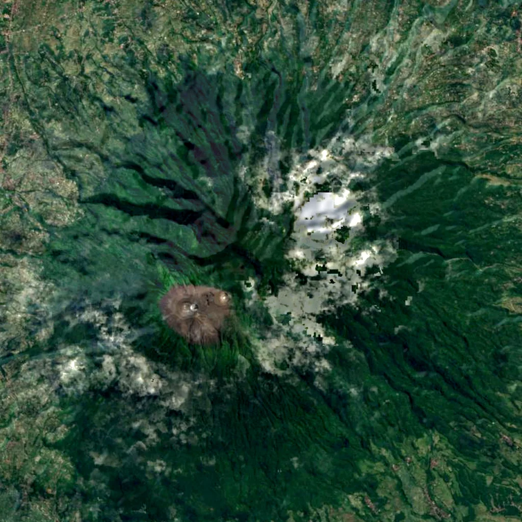 Marapi seen from above (Sentinel-2)