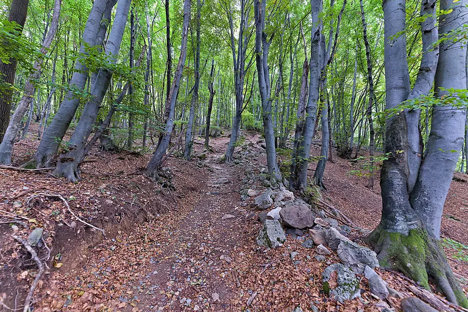 Monte San Giorgio world heritage core area in Brusino Arsizio 2022-09-29 02
