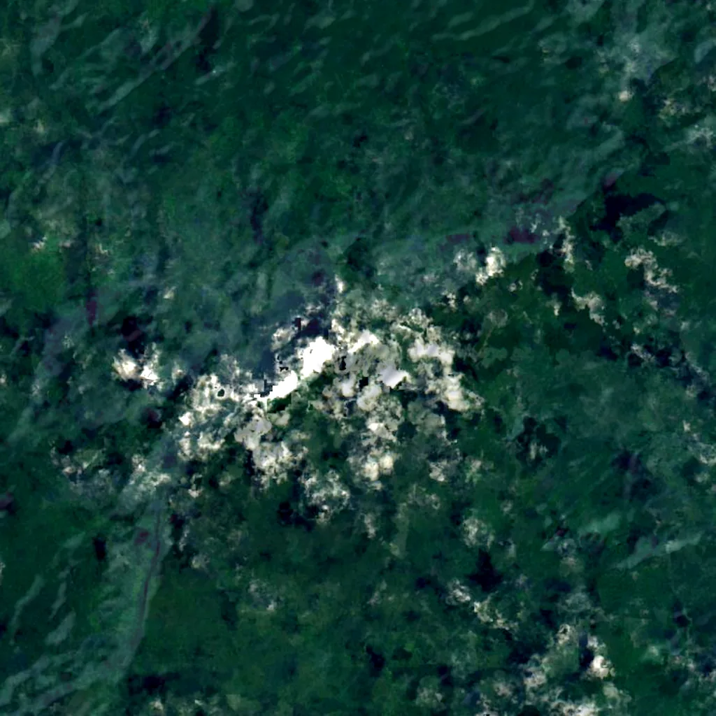 Mount Ayanganna seen from above (Sentinel-2)