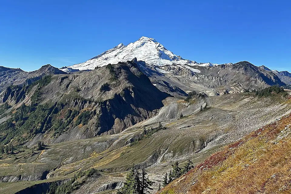 Artist Point and Mount Baker Forest at North Cascades in Washington 07