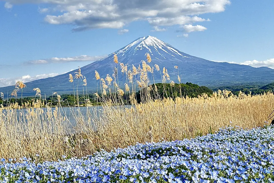 Fuji im Mai 2026