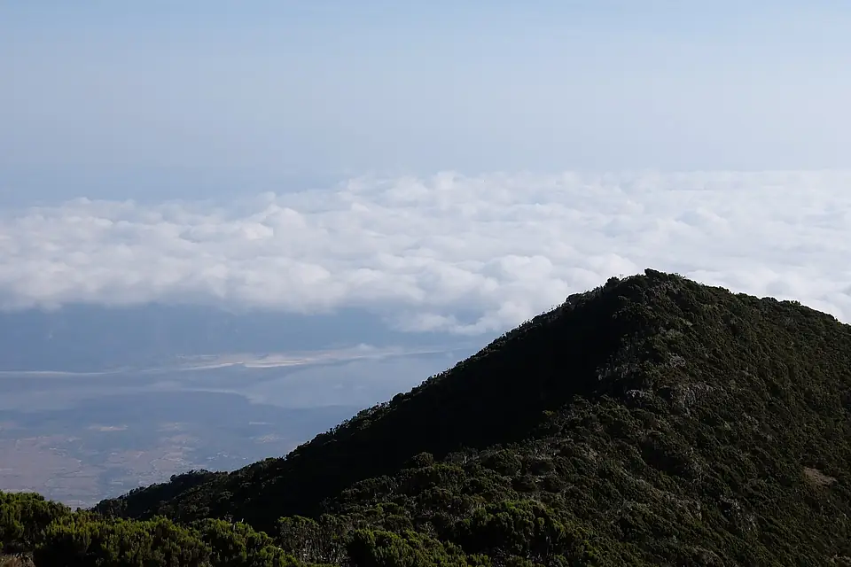 Mount Hanang - around the summit 2