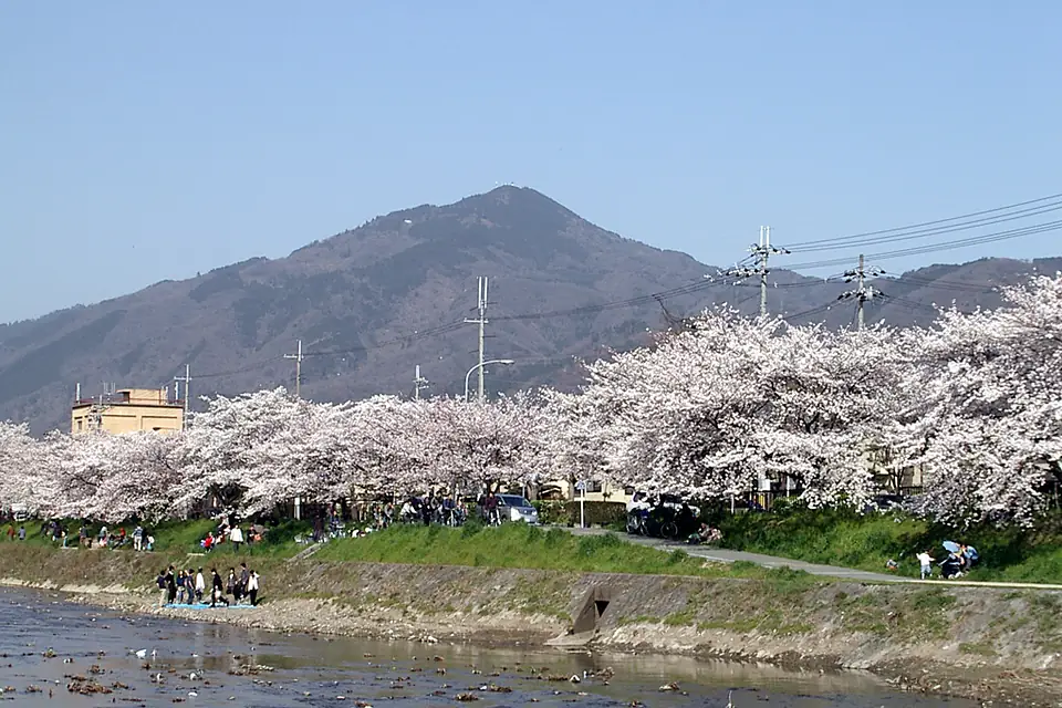 Sakura MtHiei