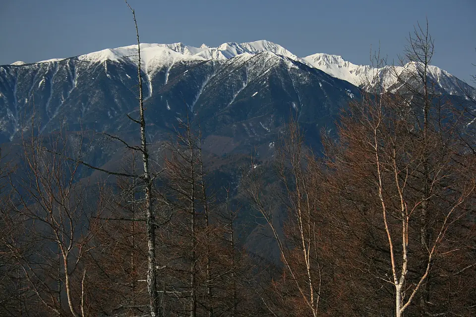 Larix kaempferi and en Mount Mount Kisokoma in Mount Kyo 2009-04-30