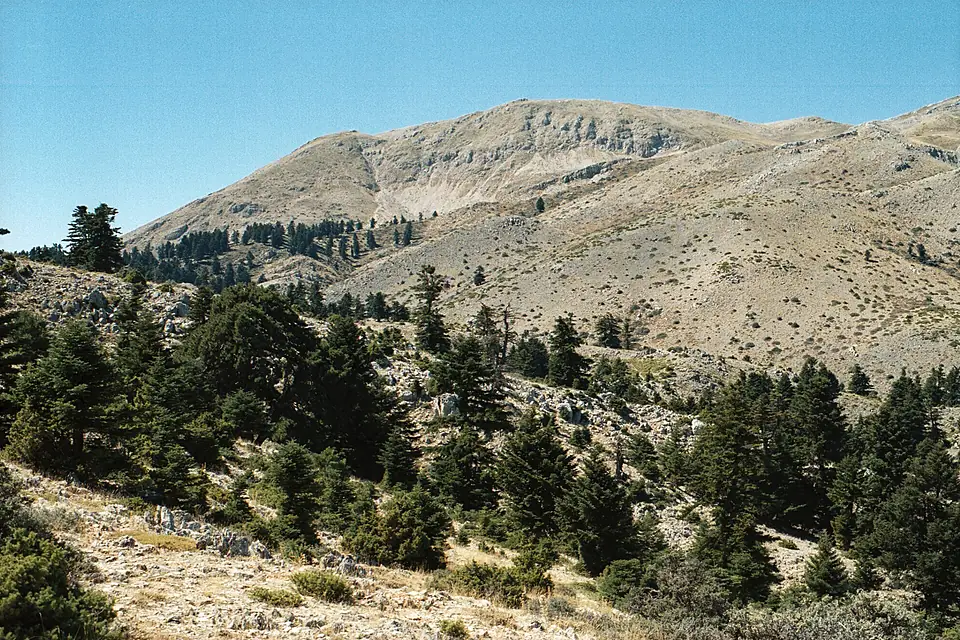Mount Kyllini, Kyll452