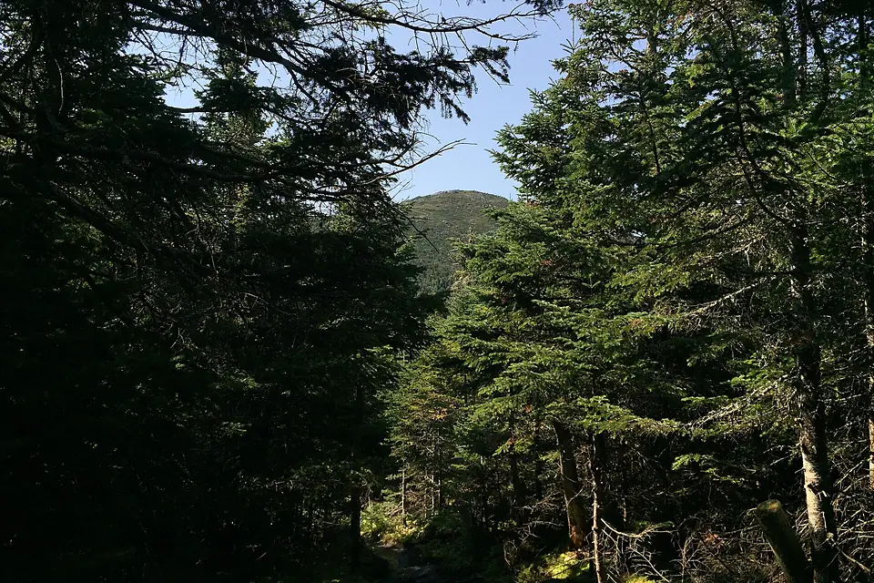 2016-09-04 10 41 25 View south along the Van Hoevenberg Trail towards Mount Marcy about 6.2 miles south of the trailhead in Keene, Essex County, New York