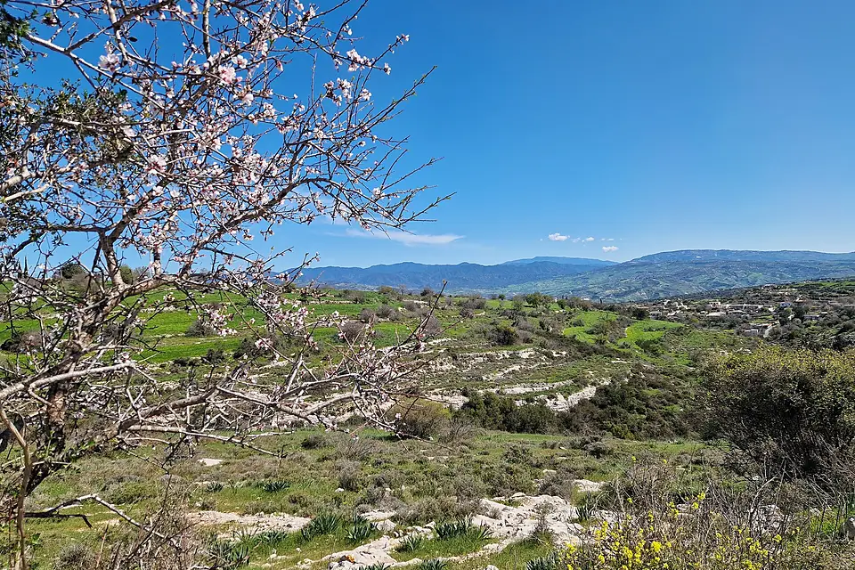 Kritou Terra, Cyprus, view to east, Mt. Olympus