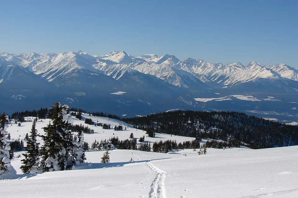 Premier Range