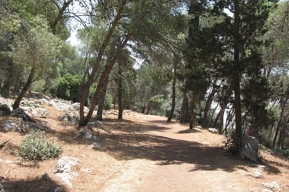 Monte Tabor 093