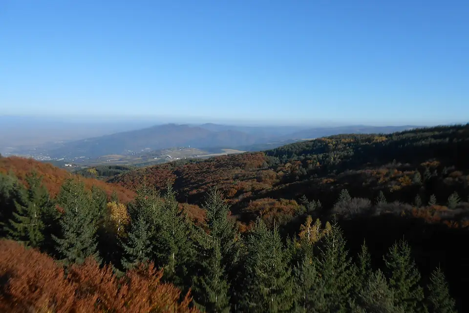 Cool Panorama
