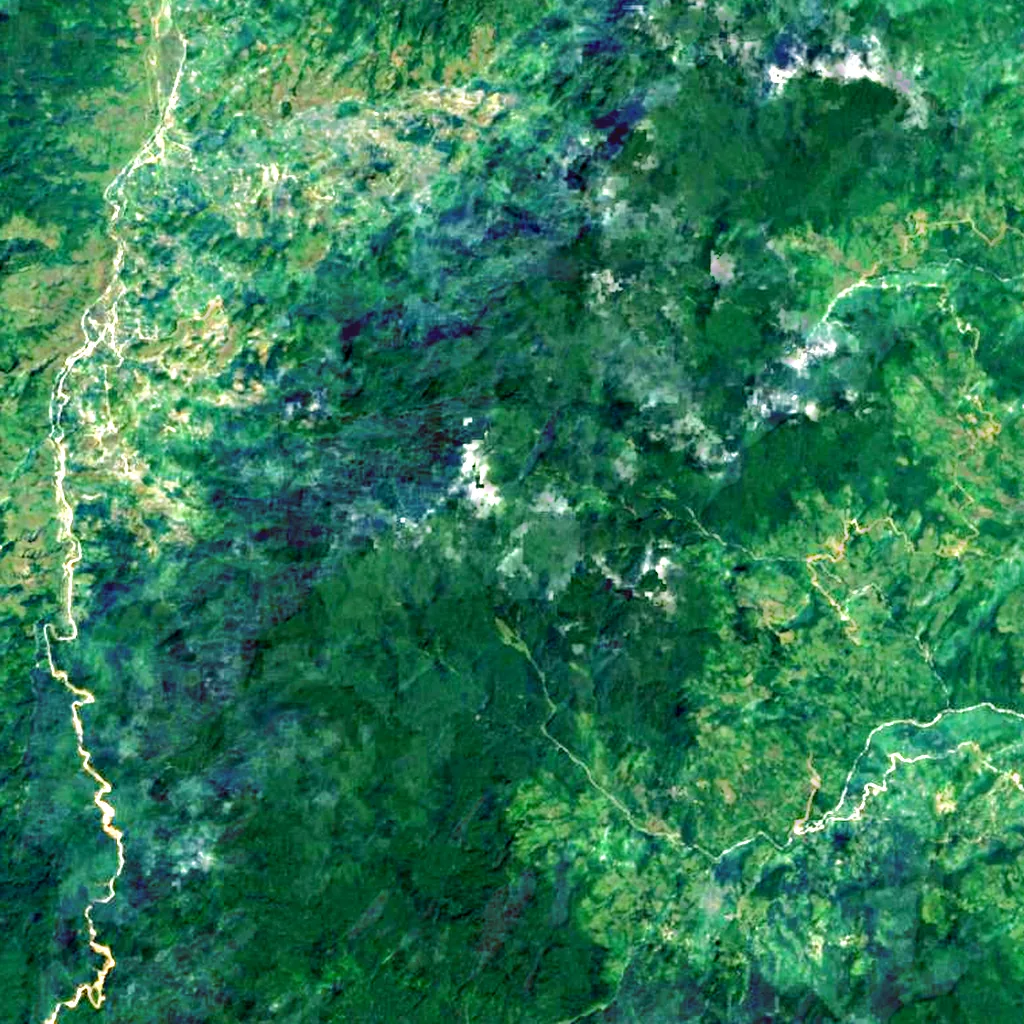 Ngoc Linh seen from above (Sentinel-2)