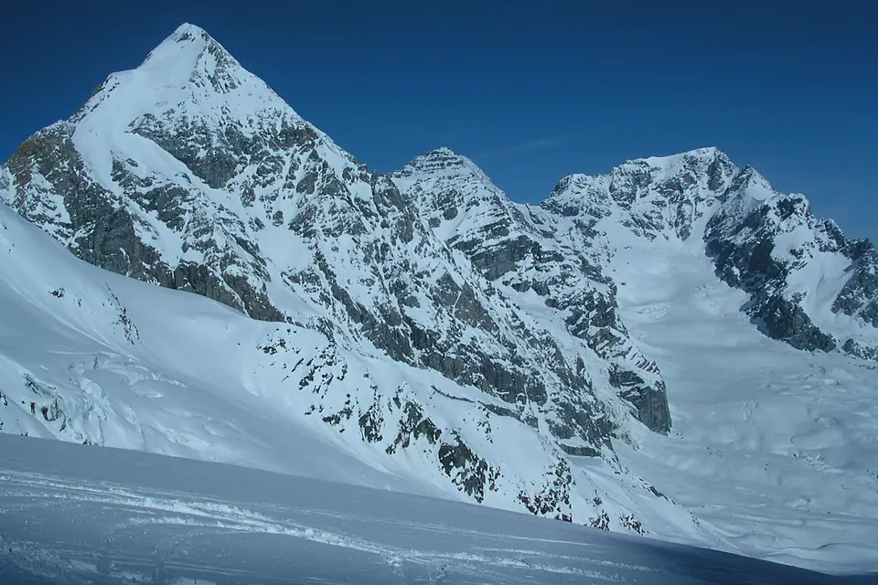 Königssp-zebru-ortler