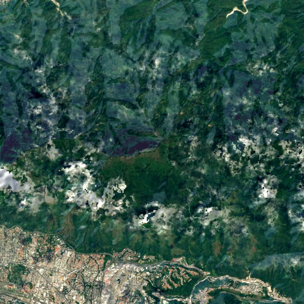 Pico Naiguatá seen from above (Sentinel-2)