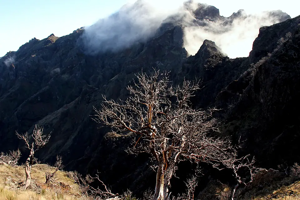 A CAMINHO DO PICO RUIVO 5
