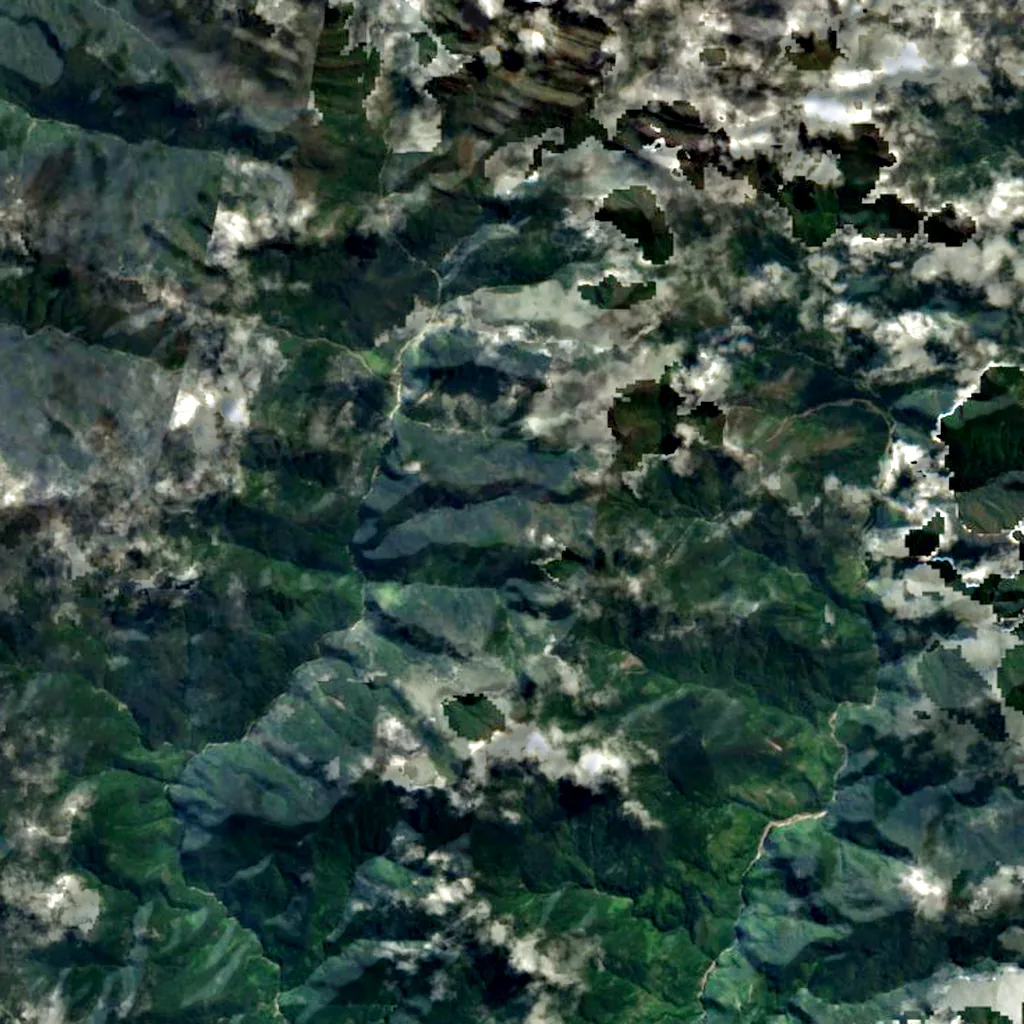 Puncak Trikora seen from above (Sentinel-2)