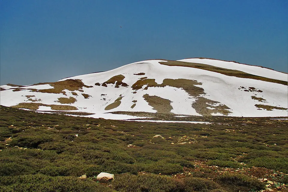 Qurnat as sawda early summer
