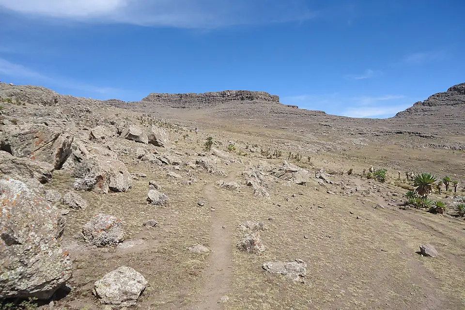 Ras Dejen Summit