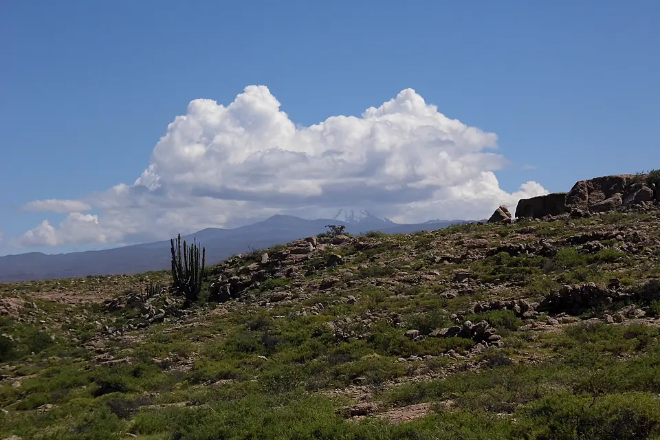 41. vista de la cima del Amargoso, se aprecian restos de muros y al fondo el volcán nevado Sara Sara (Ayacucho) abril 2015