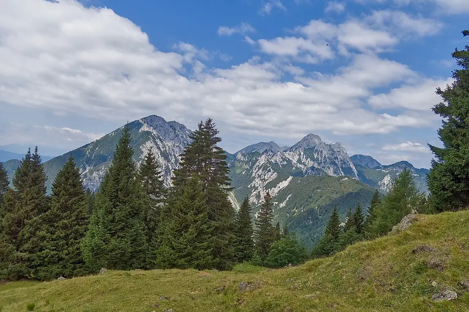 Begunjscica, Stol and Vrtaca, view from Korosica