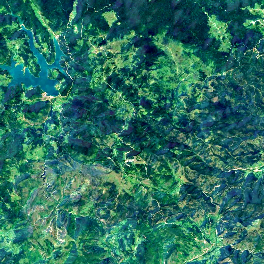 Tara seen from above (Sentinel-2)
