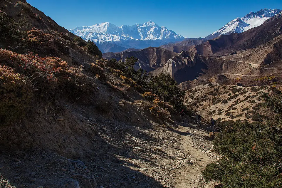 Annapurna I, Tilicho and Nilgiri in the backdrop (15870226265)