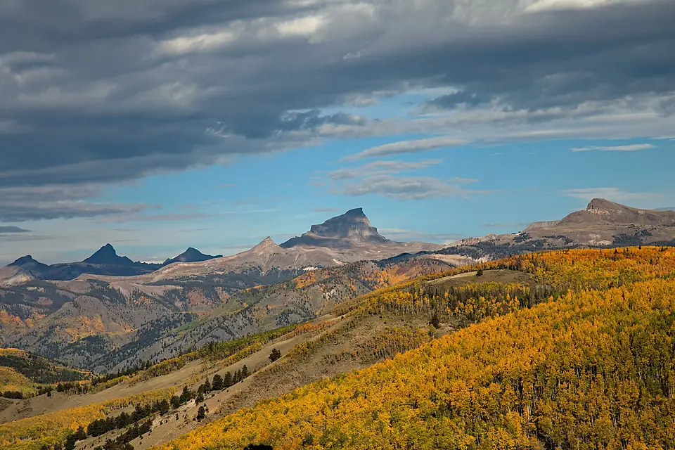 Aspen Gold