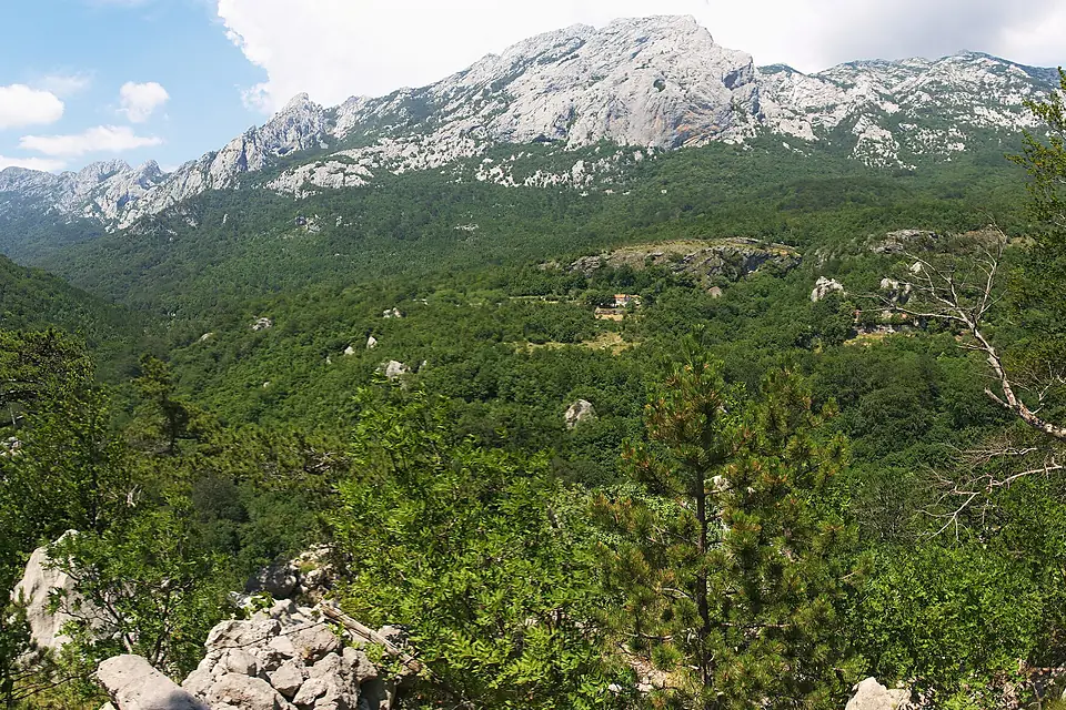 Vaganski vrh